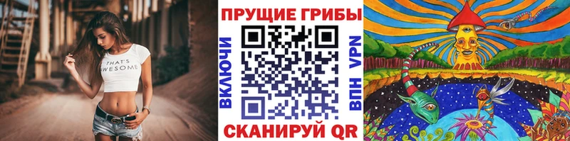 как найти закладки  МЕГА ссылка  Галлюциногенные грибы прущие грибы  Голицыно 